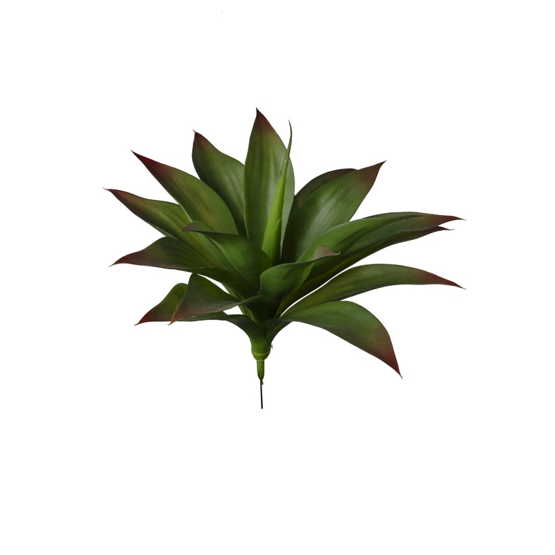 2PHZ1572093n Conti pianta - immagine 1