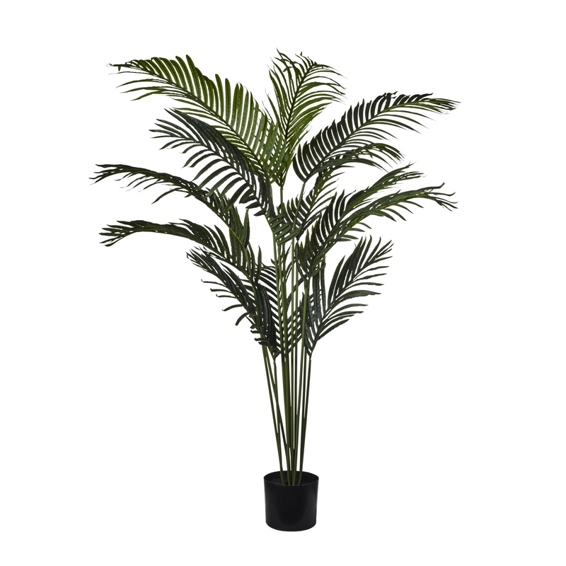 2PNA46 Conti pianta - immagine 1