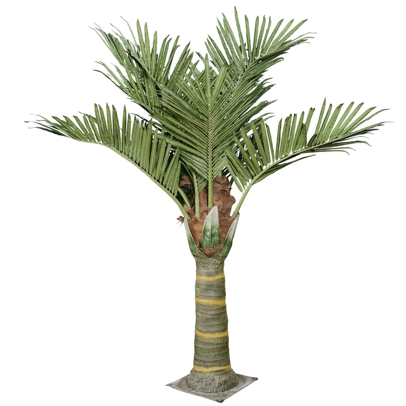 2PV1933093 Conti pianta - immagine 1