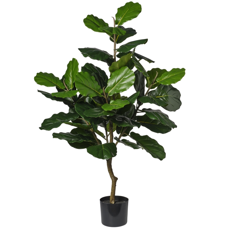 2PV3334093 Conti pianta - immagine 1