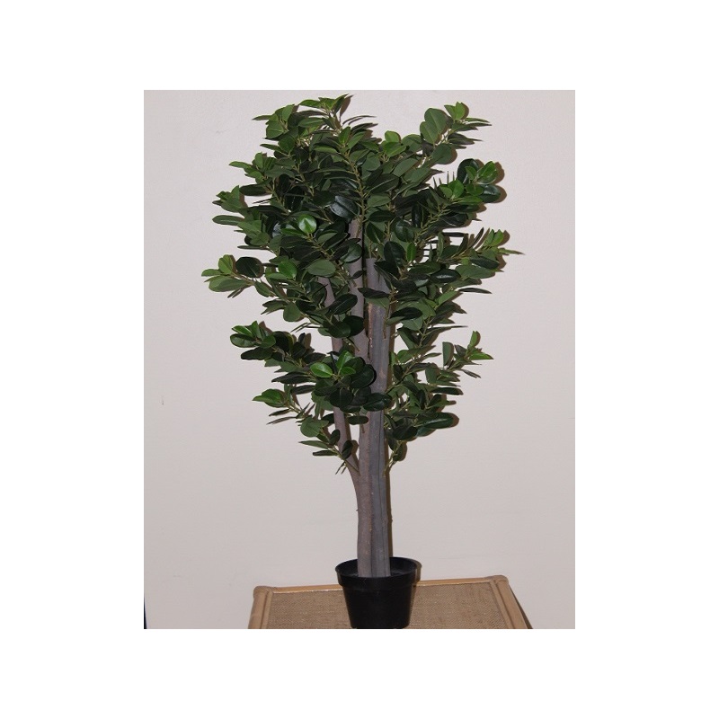 2PV746093 Conti pianta - immagine 1