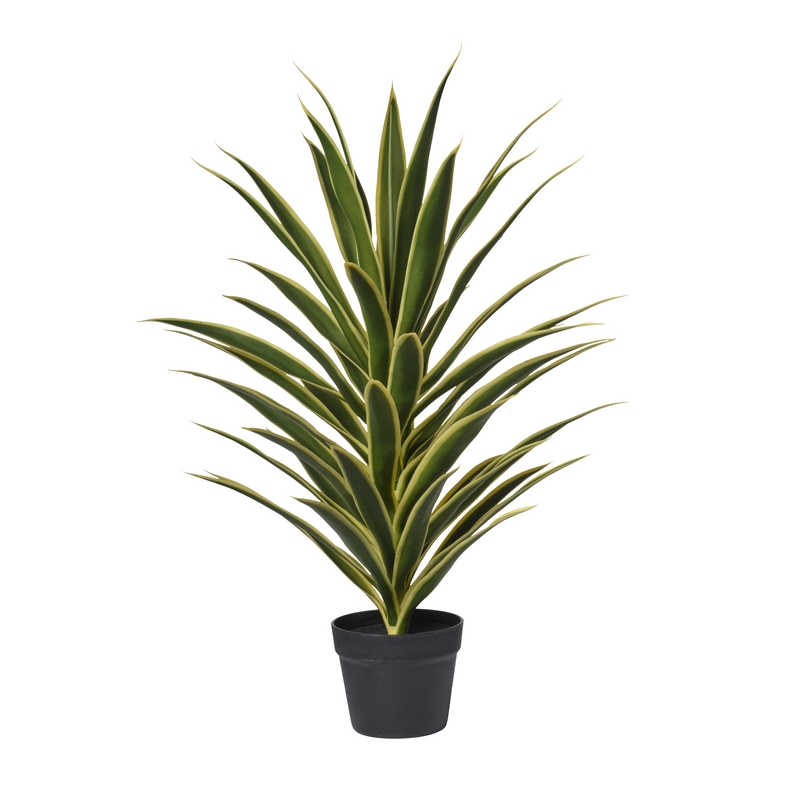 2pv2855325 Conti pianta - immagine 1