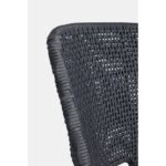 Bizzotto hesperia - immagine 4