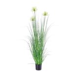 Pianta viole - immagine 3