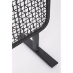 Bizzotto babilo - immagine 2