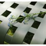 Nardi folio poggio - immagine 2