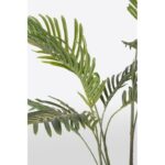 Bizzotto pianta - immagine 2