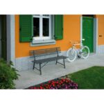 Moia panca - immagine 2