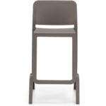 Areta sgabbello - immagine 2