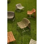 Teporia juta - immagine 7