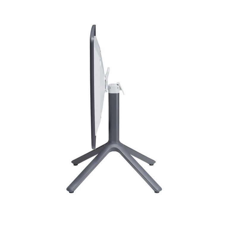 2459-81 Scab eco ribalt - immagine 1