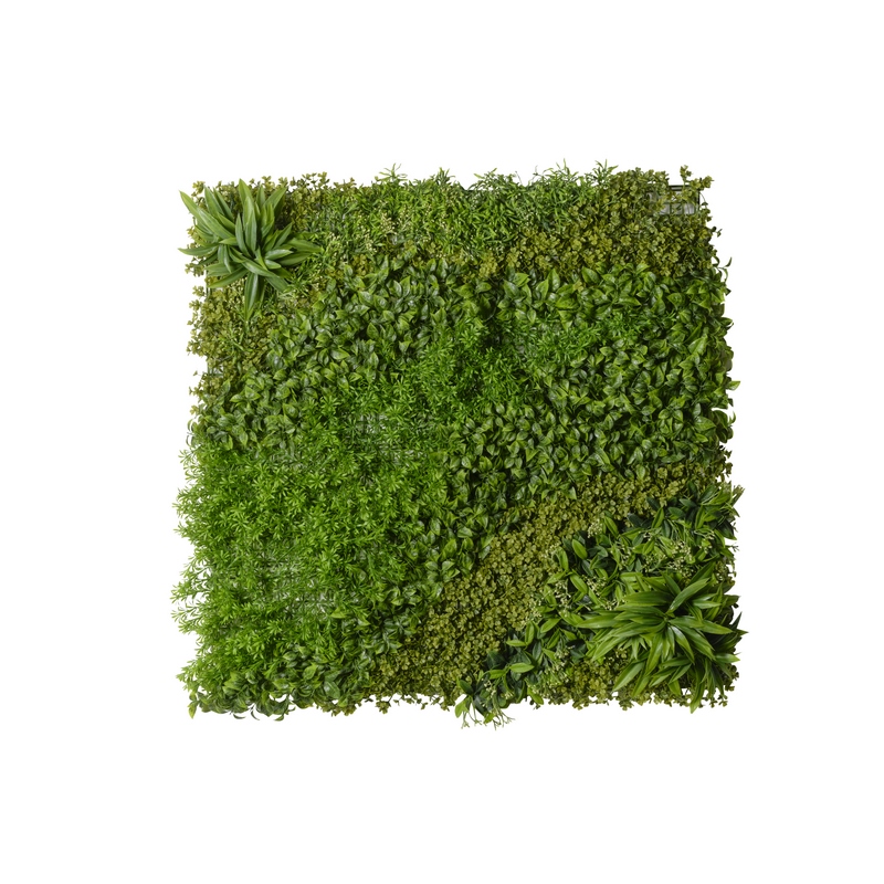 2PMC2 Conti tappeto - immagine 1