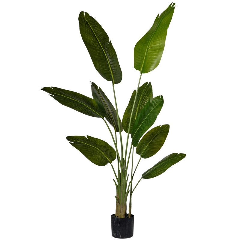 2PV2985093 Conti pianta - immagine 1