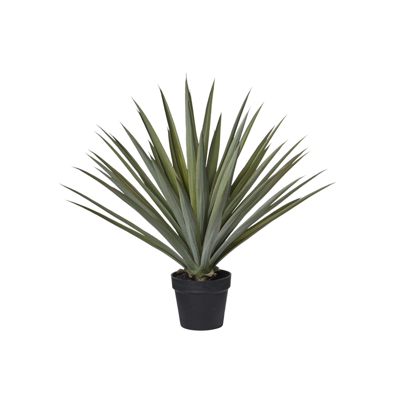 2pv2554093 Conti pianta - immagine 1