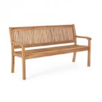 Etherna linea acacia