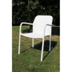 Cosma azore - immagine 6