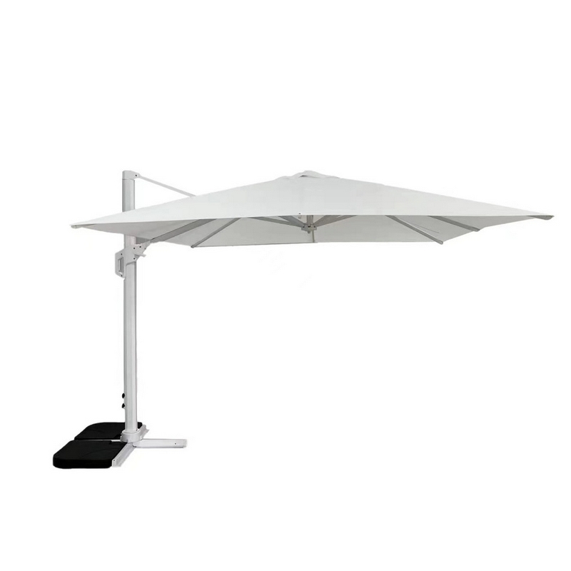 OM807323 Etherna stephenson - immagine 1