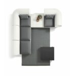 Lyxo rhor - immagine 5