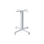 Nardi base fiore - immagine 2