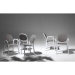 Nardi linea palma - immagine 4