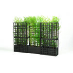 Nardi sipario - immagine 2