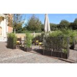 Nardi sipario - immagine 9