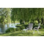 Nardi folio poggio - immagine 3