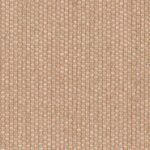 Talenti coral