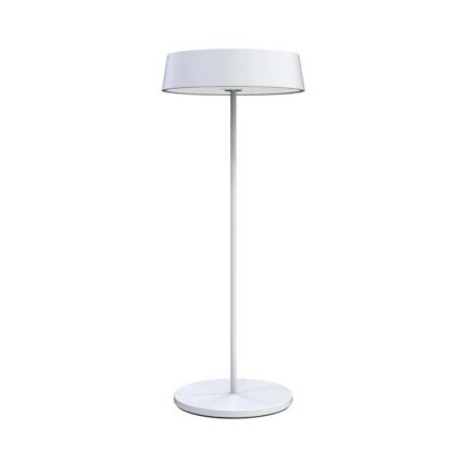 Led italia palmina