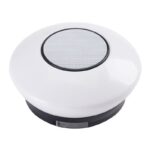 Etherna linea newton