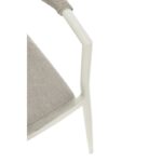 Bizzotto millor - immagine 7