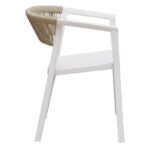 Moia lione - immagine 4