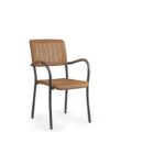 Nardi linea musa