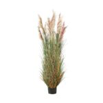 Pampas - immagine 2