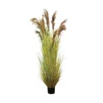 Pampas - immagine 3