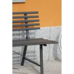 Moia panca - immagine 3