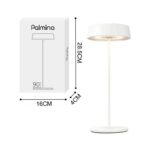 Led italia palmina - immagine 4
