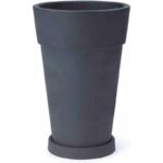 Miplast emotion