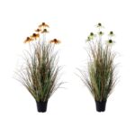 Pampas
