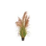 Pampas