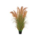 Pampas